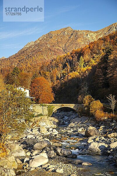 Cervo River  Valle Cervo  Biella  Piedmont  Italy  Europe
