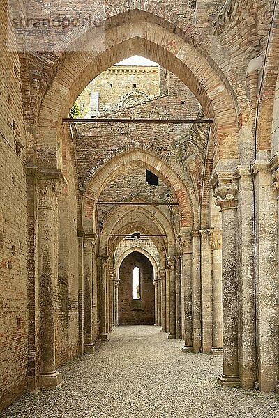 Abtei von San Galgano  Chiusdino  Siena  Toskana  Italien  Europa
