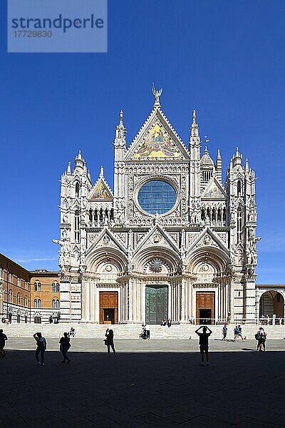 Der Dom  UNESCO-Weltkulturerbe  Siena  Toskana  Italien  Europa