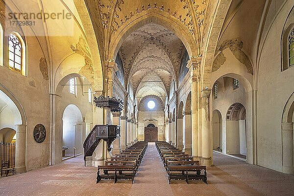 Kirche Santa Maria del Castello  Alessandria  Piemont  Italien  Europa
