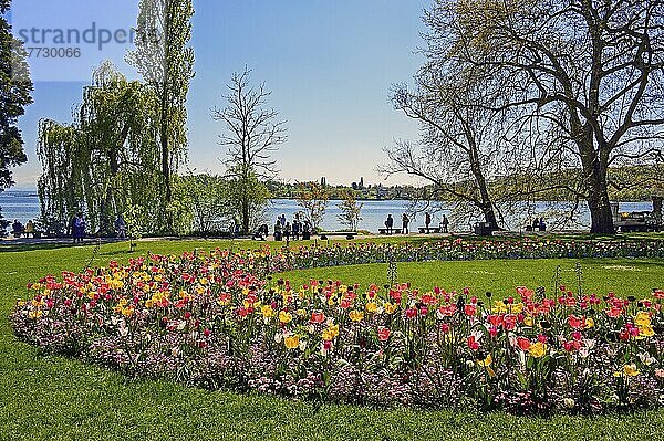 Kreisbeet mit Tulpen Tulipa9 und Touristen  Insel Mainau  Bodensee  Baden-Wüttemberg  Deutschland  Europa