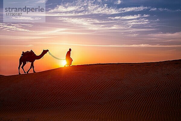 Indische Kameleer (Kameltreiber) Beduine mit Kamel Silhouetten in Sanddünen der Wüste Thar bei Sonnenuntergang. Karawane in Rajasthan Reise Tourismus Hintergrund Safari Abenteuer. Jaisalmer  Rajasthan  Indien  Asien