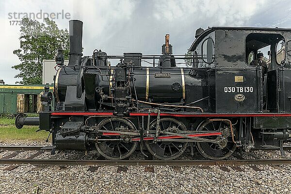 Dampflokomotive der Rheinischen Touristikbahn im Frühling. Volgelsheim  Elsass  Frankreich  Europa