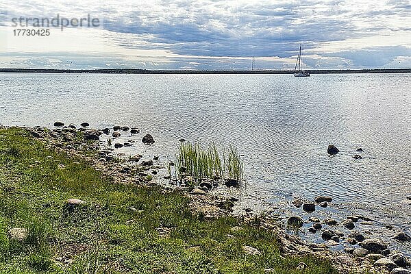 Ufer der lagunenartigen Bucht Grankullaviken  Nordspitze der Insel Öland  Kalmar län  Schweden  Europa