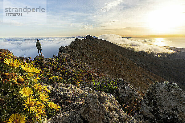Mann beobachtet den Sonnenaufgang auf dem felsigen Gipfel des Pico de la Zarza  dem höchsten Berg von Fuerteventura  Kanarische Inseln  Spanien  Atlantik  Europa