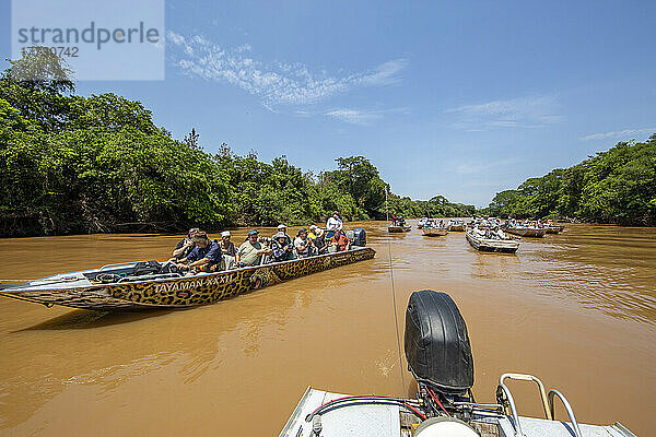 Begeisterte Touristen beobachten und fotografieren Jaguare am Rio Negro  Mato Grosso  Pantanal  Brasilien  Südamerika