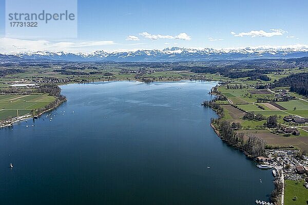 Drohnenaufnahme  Drohnenfoto vom Greifensee mit Blick auf die verschneiten Berggipfel der Alpen  Maur  Kanton Zürich  Schweiz  Europa
