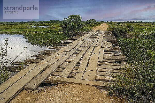 Typische Brücke auf der Transpantaneira im Pantanal  Brasilien  Südamerika