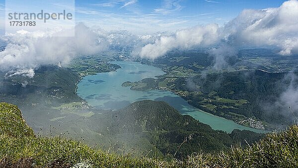 Blick vom Schafberg auf Mondsee  Salzkammergut  Oberösterreich  Österreich  Europa