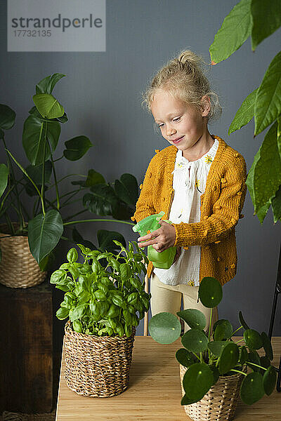 Lächelndes Mädchen sprüht Topfpflanze im heimischen Wohnzimmer