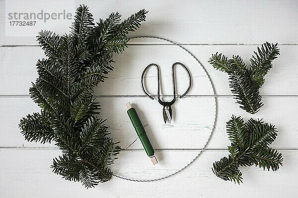 Making of wreath with wire  thread and spruce twigs