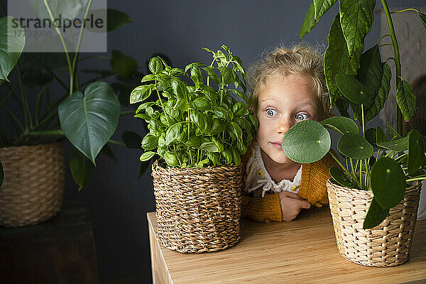 Neugieriges Mädchen schaut inmitten von Topfpflanzen auf dem Tisch