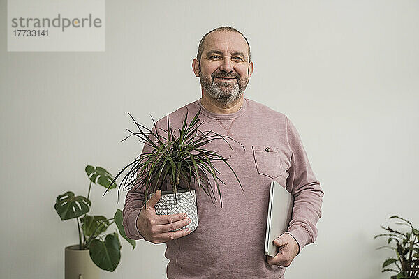 Lächelnder Geschäftsmann mit Drachenbaum und Laptop im Büro