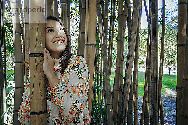Lächelnde junge Frau schaut im Bambushain nach oben