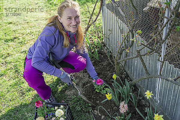 Lächelnde Frau pflanzt Ranunkelblumen  die im Garten hocken