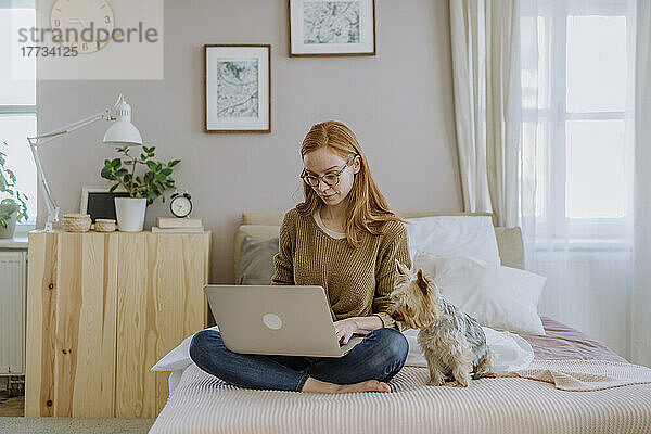 Frau benutzt Laptop und sitzt zu Hause neben ihrem Hund im Bett