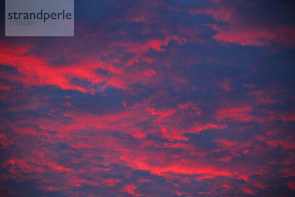 Purple clouds illuminated by setting sun