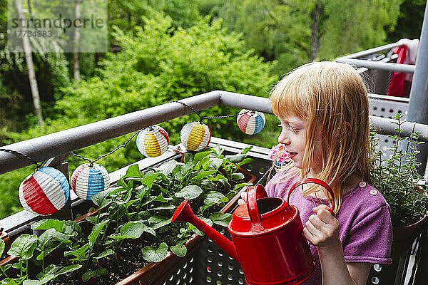 Mädchen steht mit roter Gießkanne und blickt auf Radieschenpflanzen auf dem Balkon