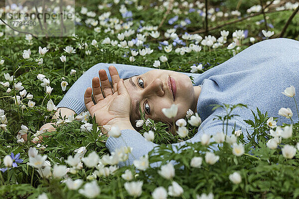 Lächelnde Frau liegt inmitten von Wildblumen auf der Wiese