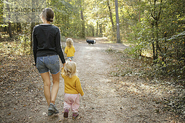 Mutter mit Töchtern geht auf Fußweg im Wald