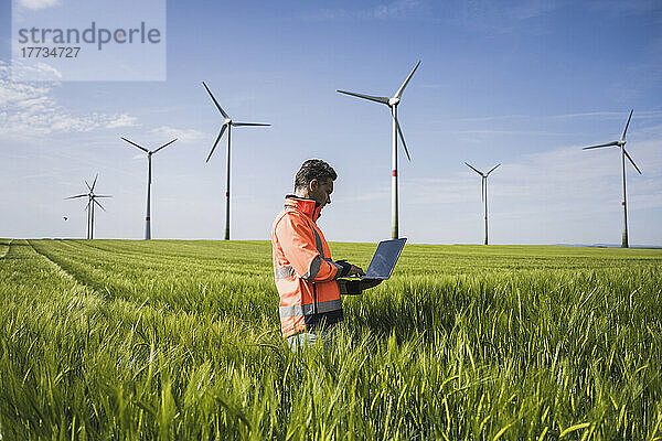 Ingenieur benutzt Laptop inmitten von Weizenfeldern in der Nähe von Windkraftanlagen auf dem Feld