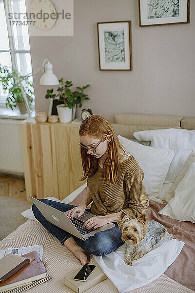 Frau benutzt Laptop und sitzt zu Hause neben ihrem Hund im Bett