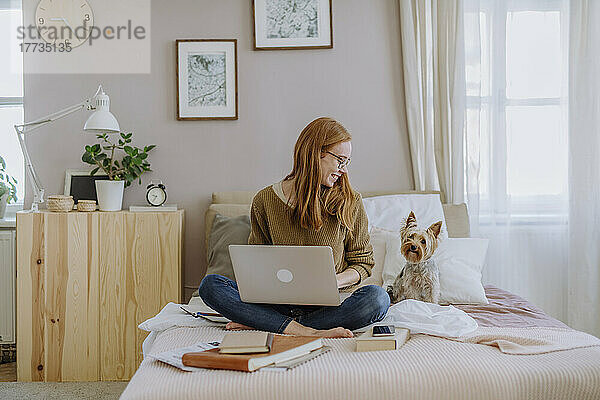 Lächelnde Frau mit Laptop blickt auf Yorkshire Terrier  der zu Hause im Bett sitzt
