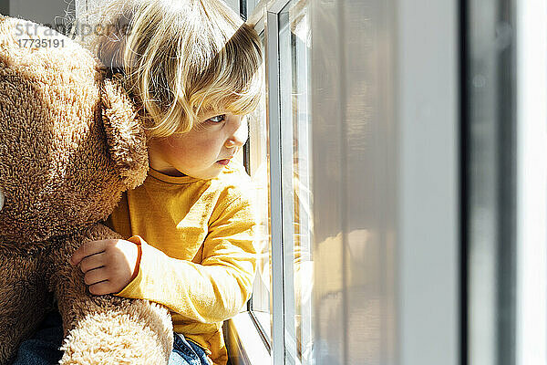 Junge mit Stofftier schaut zu Hause durch das Fenster