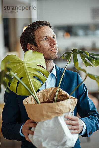 Lächelnder reifer Geschäftsmann mit Monstera-Pflanze im Sack im Café