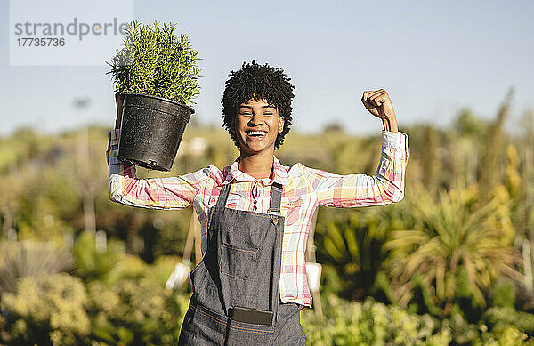 Selbstbewusster Gärtner hält Topfpflanze in der Gärtnerei und lässt Muskeln spielen