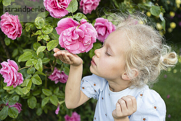 Nettes Mädchen riecht rosa Rose im Garten