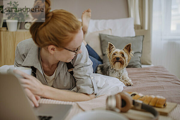 Frau liegt mit Laptop und schaut zu Hause auf den Hund im Bett