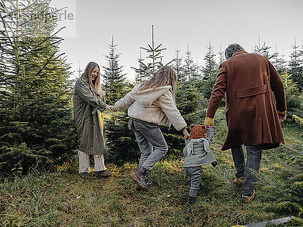 Verspielte Familie hält Händchen und geht in der Weihnachtsbaumfarm spazieren