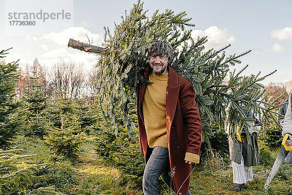 Man carrying Christmas tree on shoulder at farm