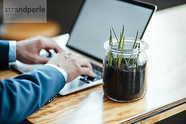 Praktischer Freiberufler  der am Laptop an einer Pflanze im Glas im Café arbeitet