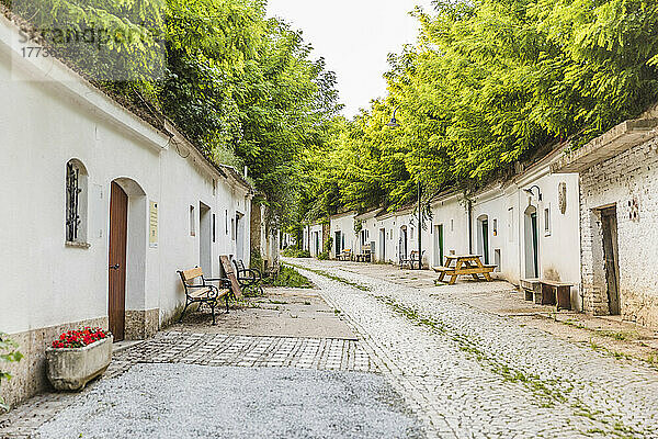 Österreich  Niederösterreich  Poysdorf  Weinkeller entlang der historischen Kellergasse Radyweg