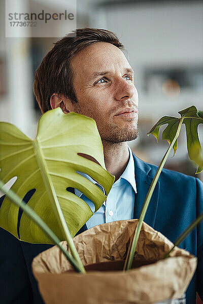 Nachdenklicher reifer Geschäftsmann mit Monstera-Pflanze im Café