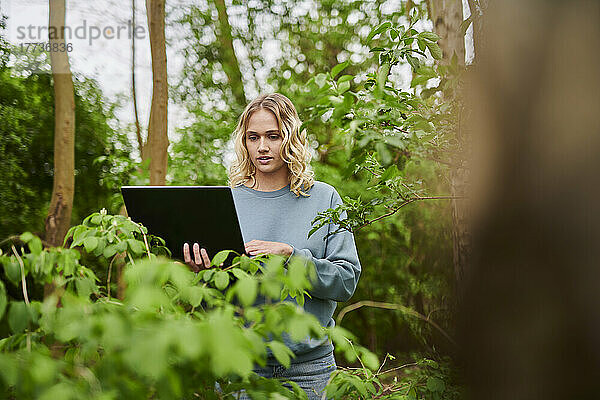 Freiberufler arbeitet am Laptop inmitten von Bäumen im Wald