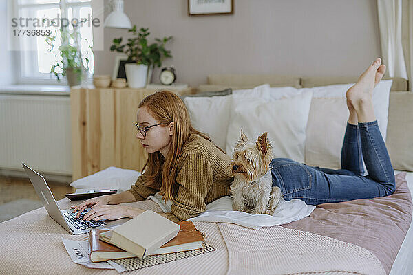 Frau benutzt Laptop und liegt zu Hause neben Hund im Bett