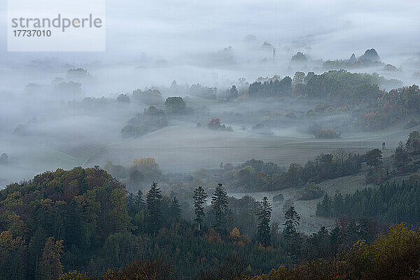 Blick auf die Schwäbische Alb im dichten Morgennebel