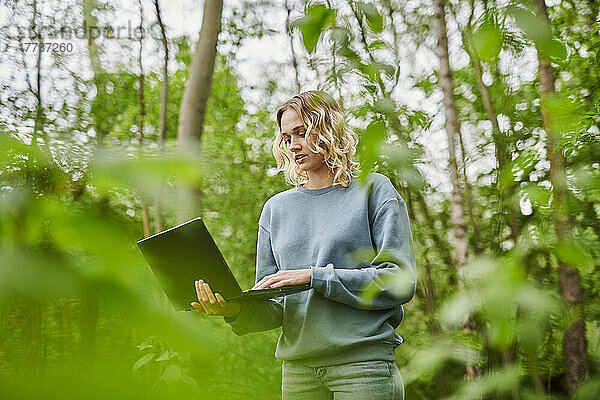 Freiberufler nutzt Laptop inmitten von Bäumen im Wald