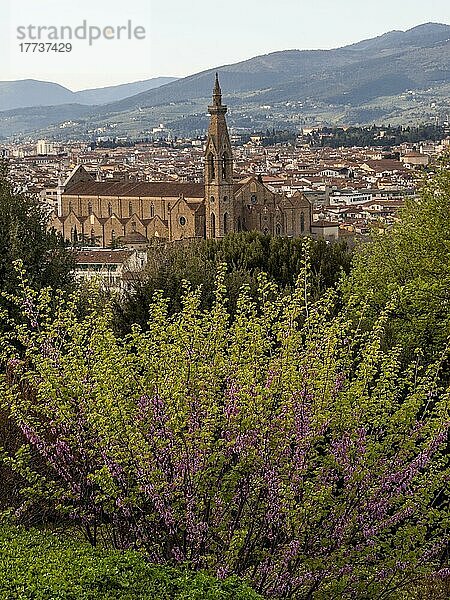 Stadtansicht mit Basilika Santa Croce in der Altstadt  Florenz  Toskana  Italien  Europa