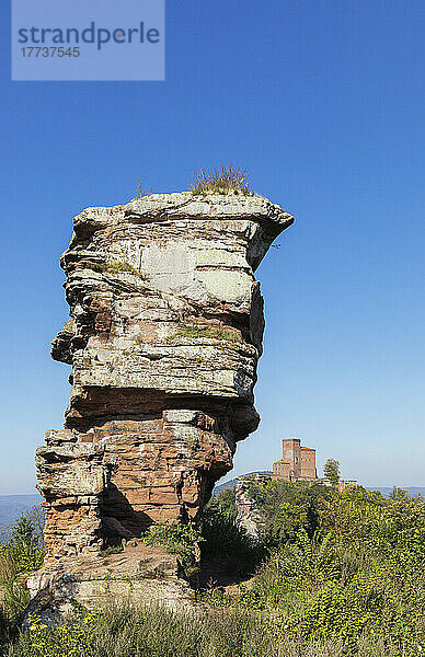 Deutschland  Rheinland-Pfalz  Sandsteinfelsenformation im Pfälzerwald mit der Burg Trifels im Hintergrund