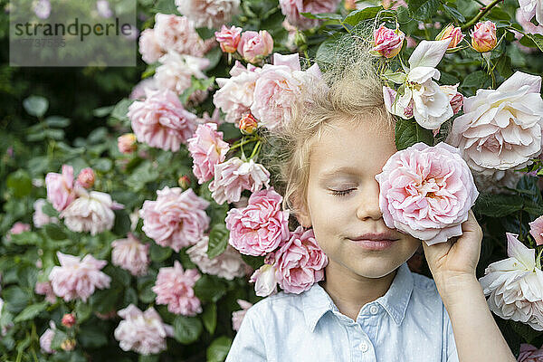 Mädchen hält Rosenblüte vor Augen im Rosengarten