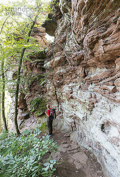 Germany  Rhineland-Palatinate  Senior hiker on trail along red sandstone rock formation in Palatinate Forest