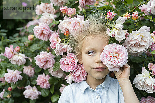 Nettes Mädchen hält rosa Rose vor Augen im Rosengarten
