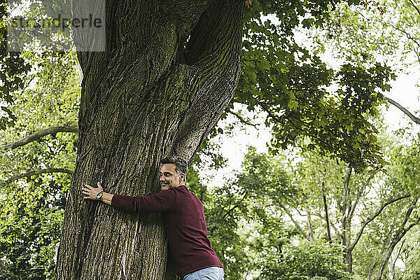 Lächelnder Mann umarmt Baum im Park