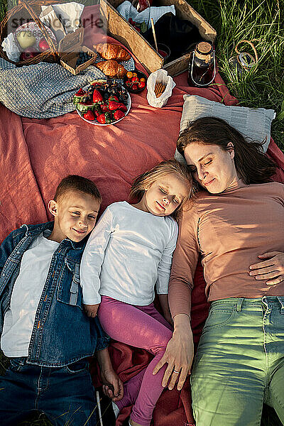 Smiling mother and children sleeping on picnic blanket at field