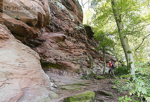 Germany  Rhineland-Palatinate  Senior hiker climbing up trail along red sandstone rock formation in Palatinate Forest