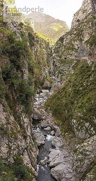 Spanien  Provinz Leon  Leon  Fluss fließt durch eine enge Schlucht im Picos de Europa-Gebirge